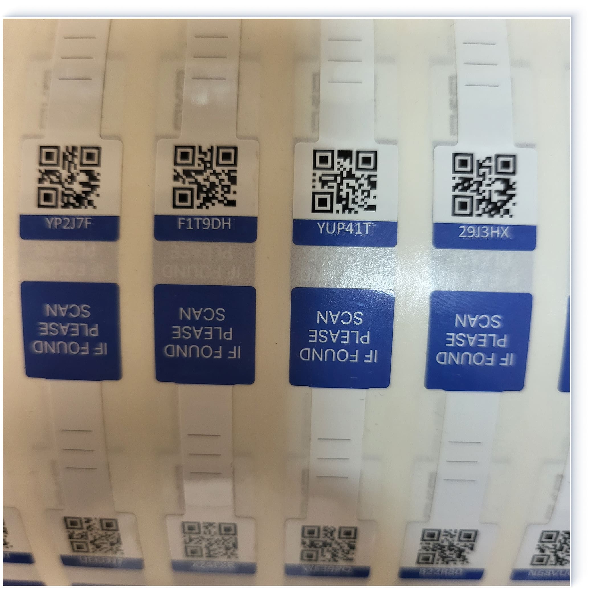 Get Your Custom Quote Now