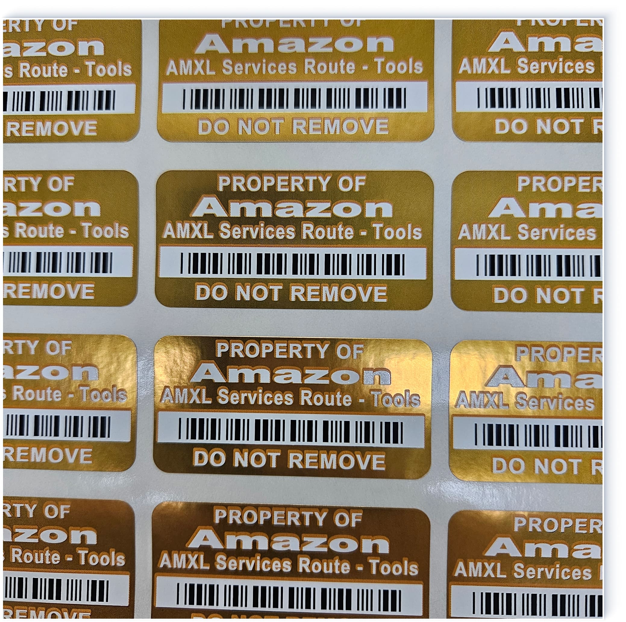 Get Your Custom Quote Now