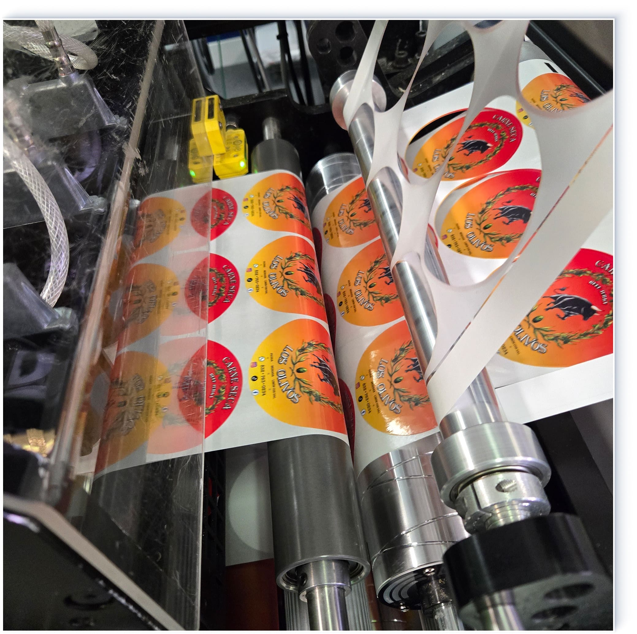 Get Your Custom Quote Now