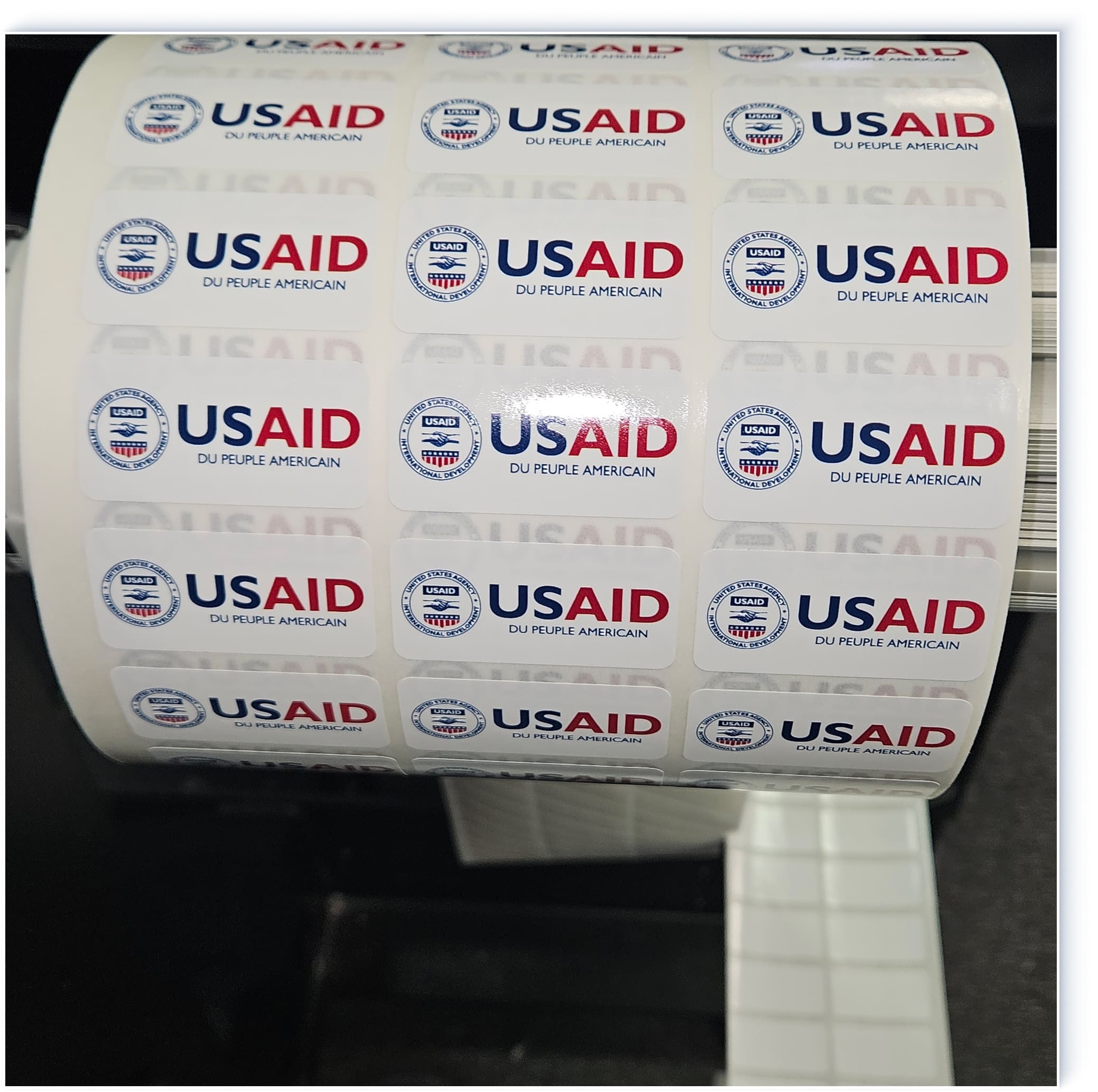 Get Your Custom Quote Now