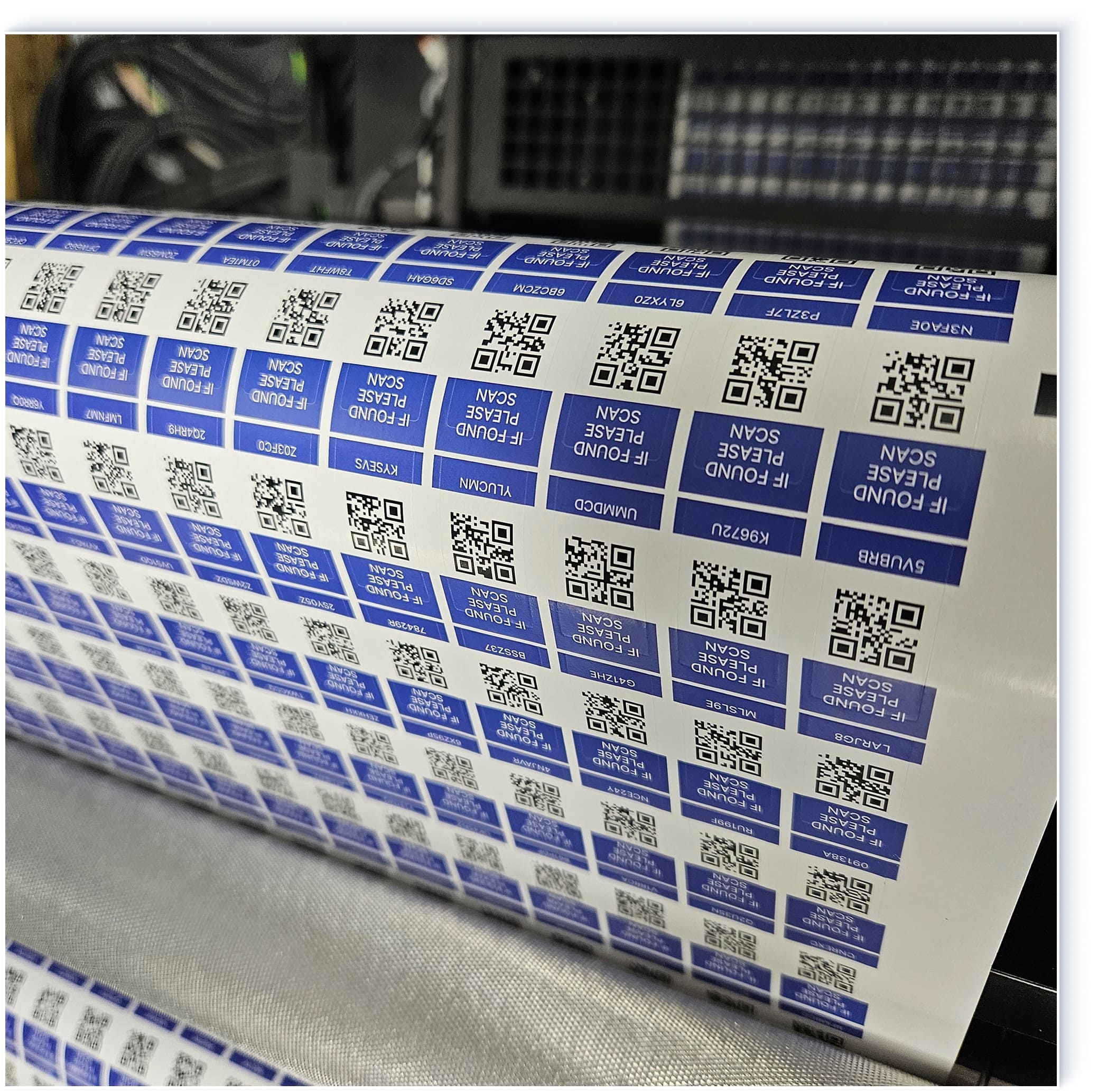 Get Your Custom Quote Now