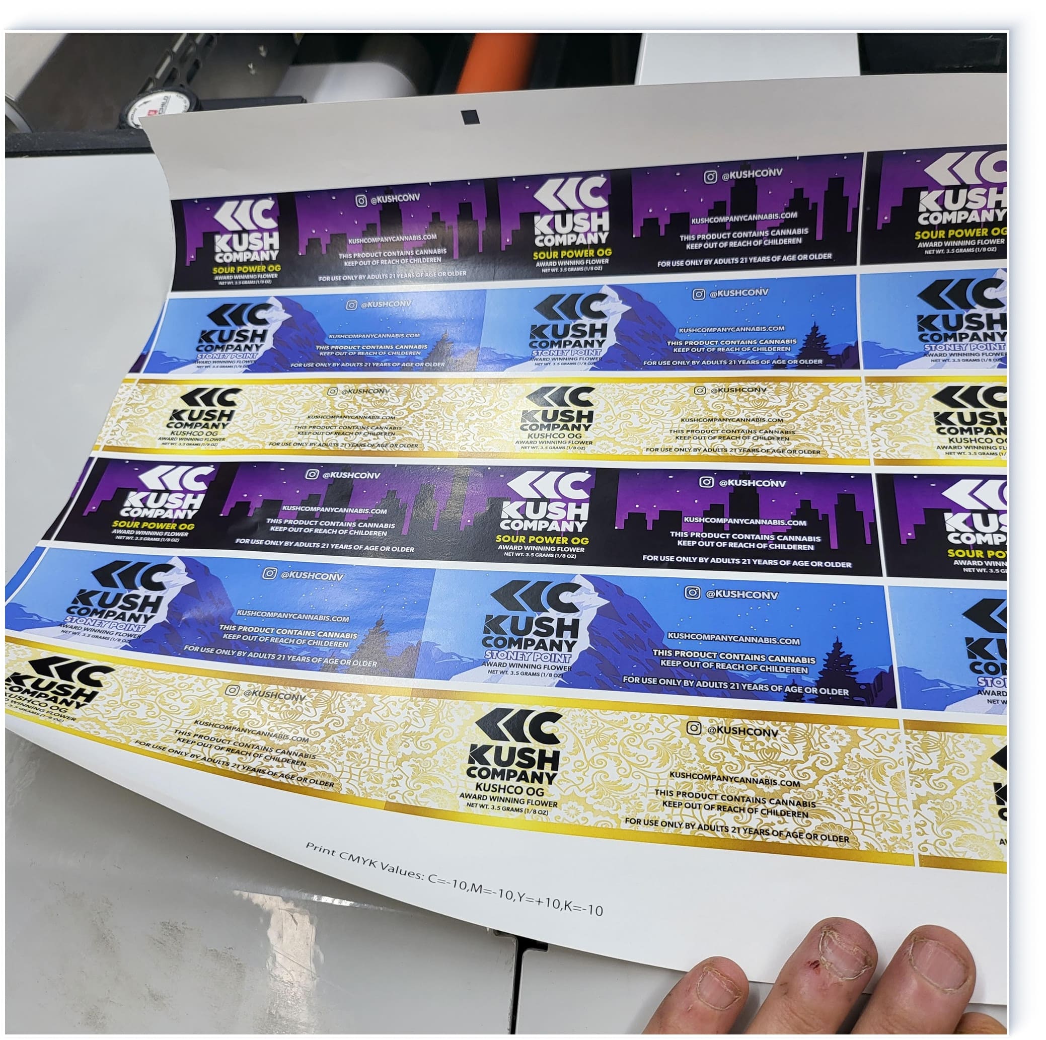 Get Your Custom Quote Now